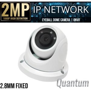 2MP ECONOMY EYEBALL DOME IP CAMERA WITH IR